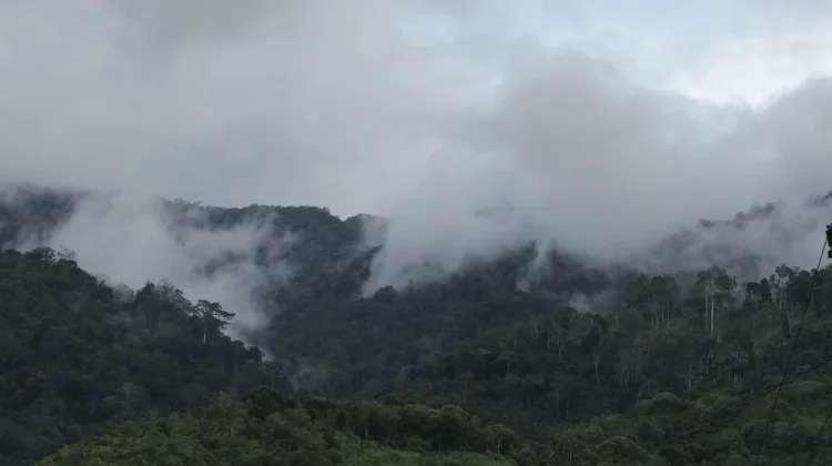 Masyarakat Beutong Surati Presiden, Tolak Tambang Emas di Jantung Hutan Aceh