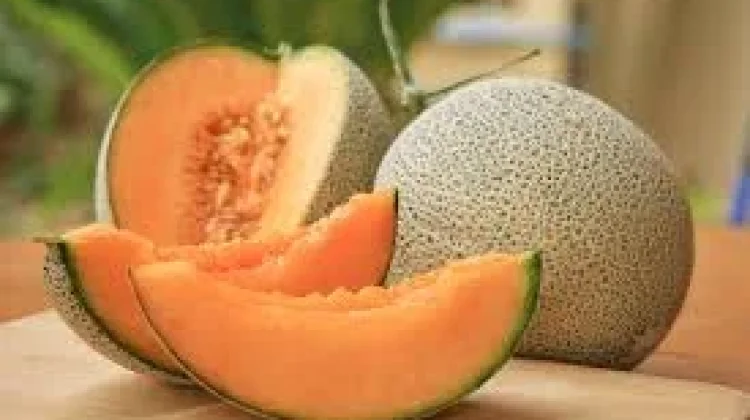 Ketahui Manfaat Buah Melon untuk Kesehatan Tubuh