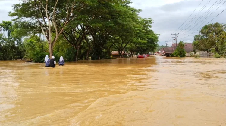 Banjir Rendam Tiga Kecamatan di Nagan Raya, BPBD Lakukan Evakuasi dan Asesmen