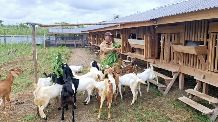 Abu Rangkileh Ajak Masyarakat Aceh Hidupkan Semangat Berqurban
