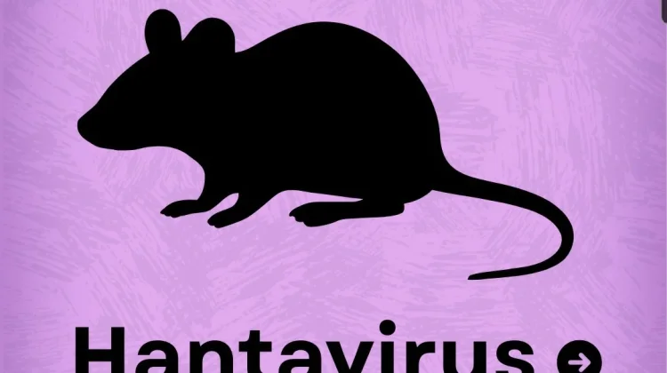Bukan COVID Baru, Hantavirus Diam-Diam Jadi Ancaman dari Lingkungan Kotor