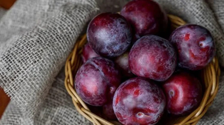 Manfaat Buah Plum Untuk Kesehatan Ibu Hamil