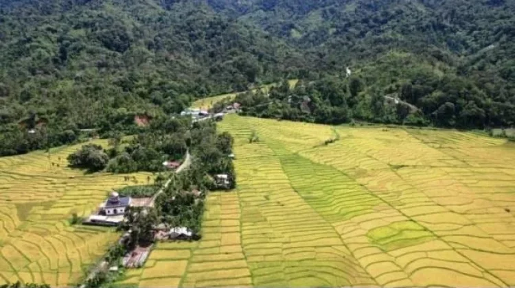 Camat: Alue Badeuk Masuk Wilayah Kabupaten Nagan Raya