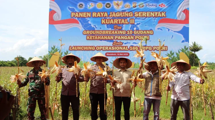 polres Aceh barat dukung swasembada  pangan panen jagung