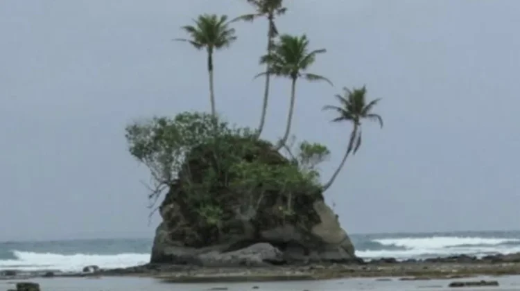 Jumlah Kunjungan Wisatawan Mancanegara ke Simeulue Meningkat