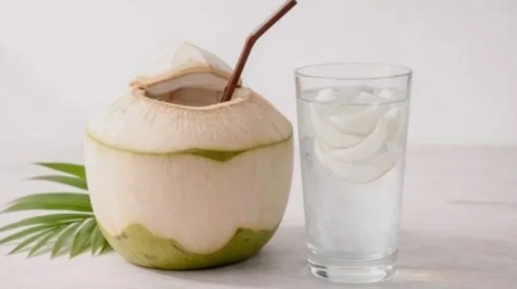 Menjaga Hidrasi Tubuh Dengan Air Kelapa Secara Optimal
