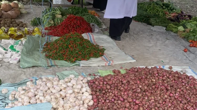 Harga Cabai Kecil di Meulaboh Naik Rp10 Ribu Jelang Iduladha