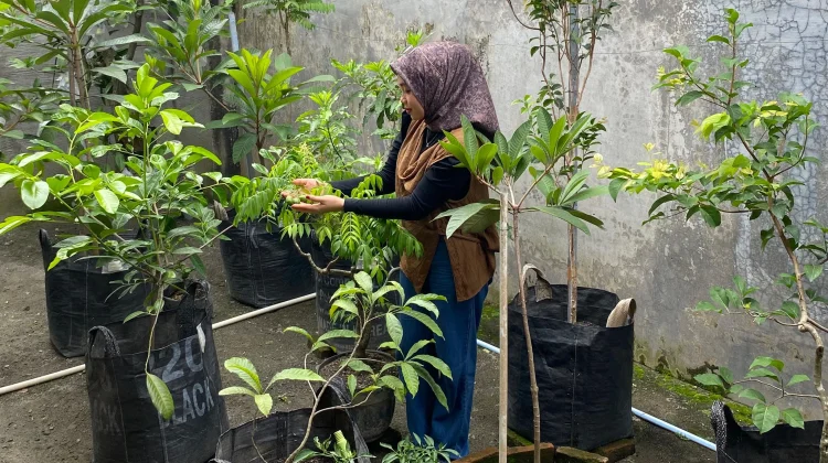 Aktivitas Berkebun di Rumah Efektif untuk Healing