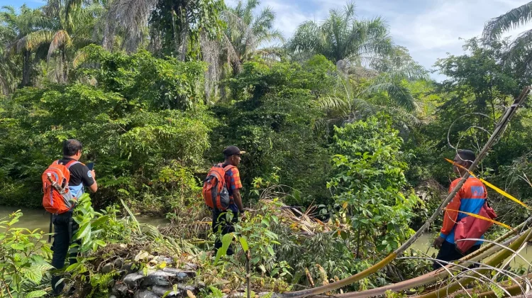 Gajah Liar Kembali Masuk Permukiman, WRU BPBD Lakukan Penghalauan