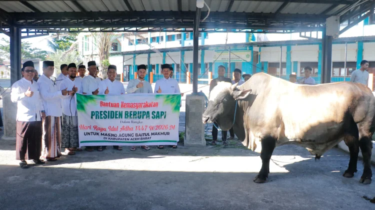 Bupati Aceh Barat Apresiasi Presiden atas Bantuan Hewan Kurban