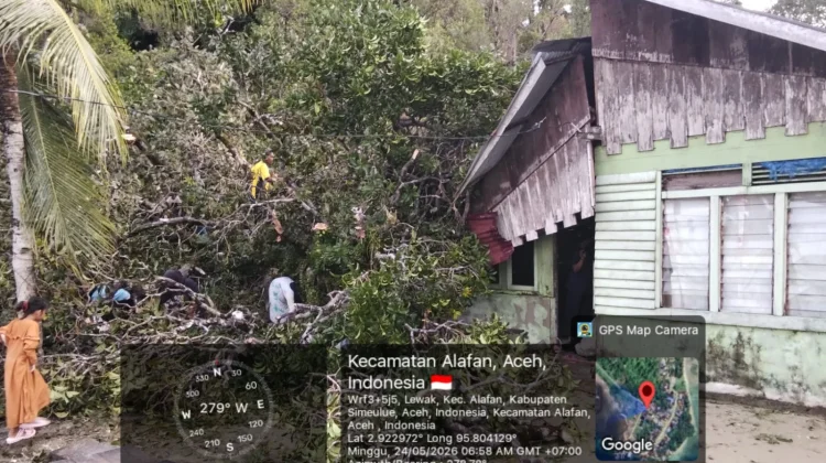 Satu Unit Rumah Warga di Alafan Rusak Tertimpa Pohon Tumbang