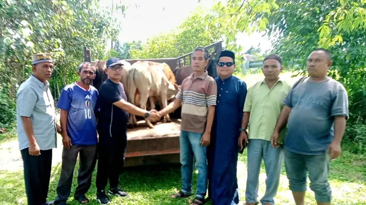 Ikasa Salurkan 8 Hewan Kurban ke Gampong dan Dayah di Samatiga