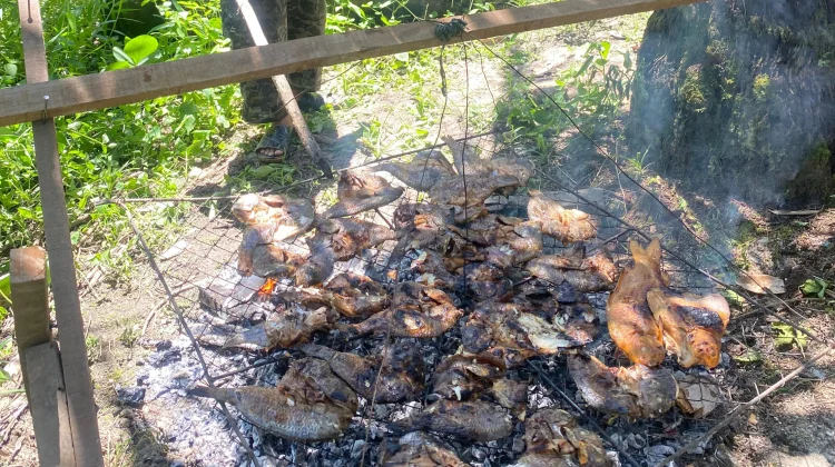 Bakar Ikan Gaya Desa Sibargot, Manfaatkan Bara dan Rak Kawat Buatan Sendiri
