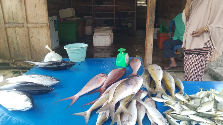 Harga ikan segar Melambung Tinggi di Meulaboh Aceh