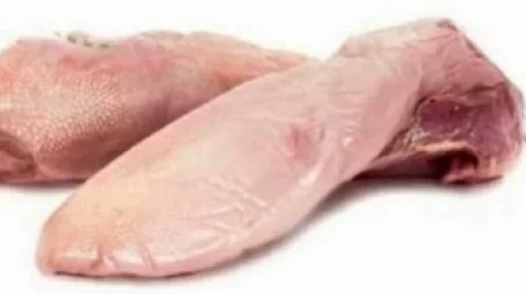 Manfaat Lidah Kambing untuk Anak