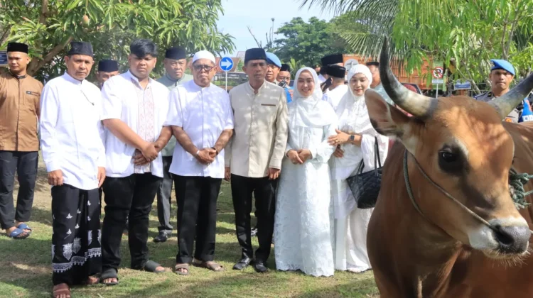 Polda Aceh Serahkan 46 Ekor Hewan Kurban untuk Masyarakat pada Idul Adha
