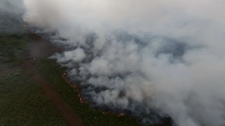 Dua Hari Karhutla di Aceh Barat Hanguskan 13 Hektare Lahan