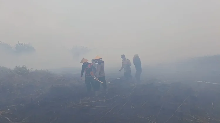 Karhutla Aceh Barat Capai 23,6 Hektar, BNPB Kerahkan Waterbombing