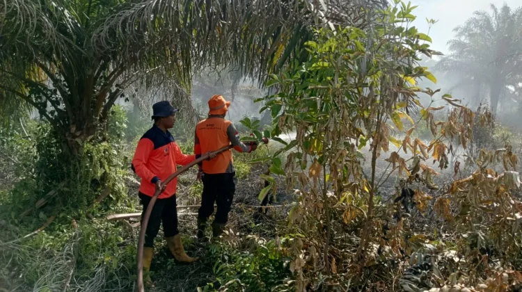 Karhutla di Nagan Raya, Sekitar 90 Hektare Lahan Terbakar