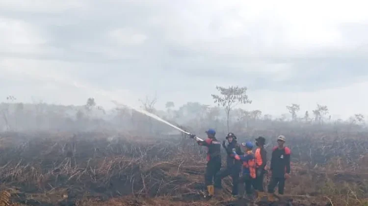 Update Karhutla di Aceh Barat Capai 24,1 Hektar, Kondisi Hari ini