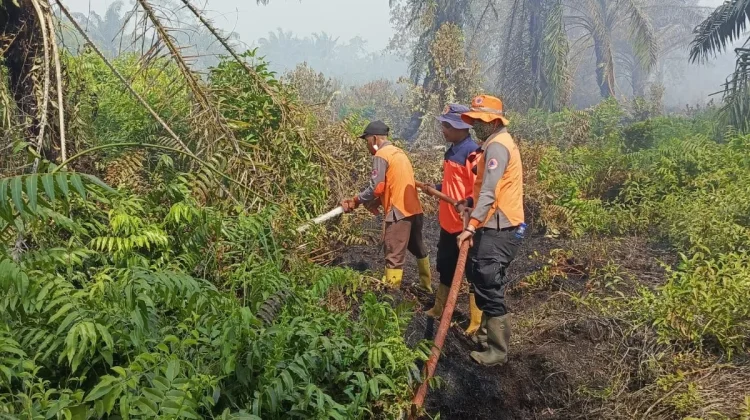 Karhutla di Bubon Aceh Barat Mulai Terkendali, Tim Gabungan Fokus Pendinginan