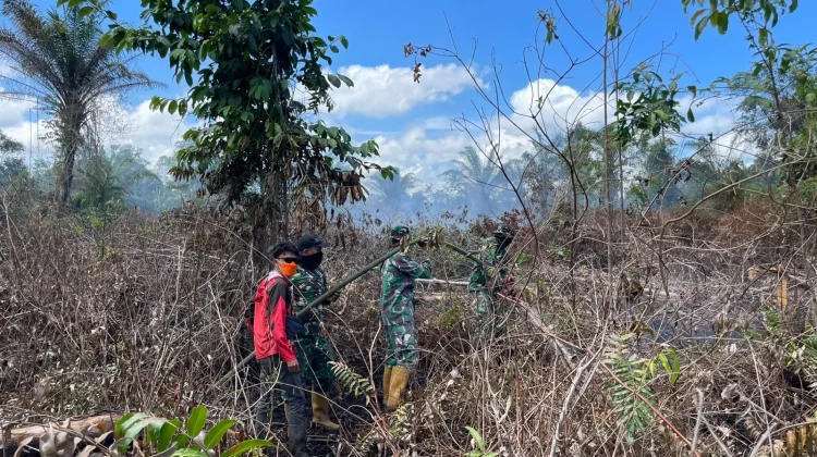 Karhutla di Nagan Raya Hanguskan Sekitar 95 Hektare Lahan