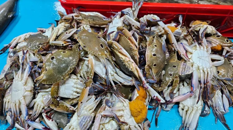 Cara Memasak Kepiting agar Nutrisinya Tidak Rusak