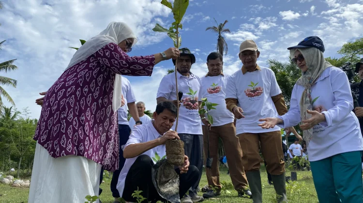 LPPM UTU Tanam Pohon Serentak Perkuat Ekosistem Pesisir Aceh Barat