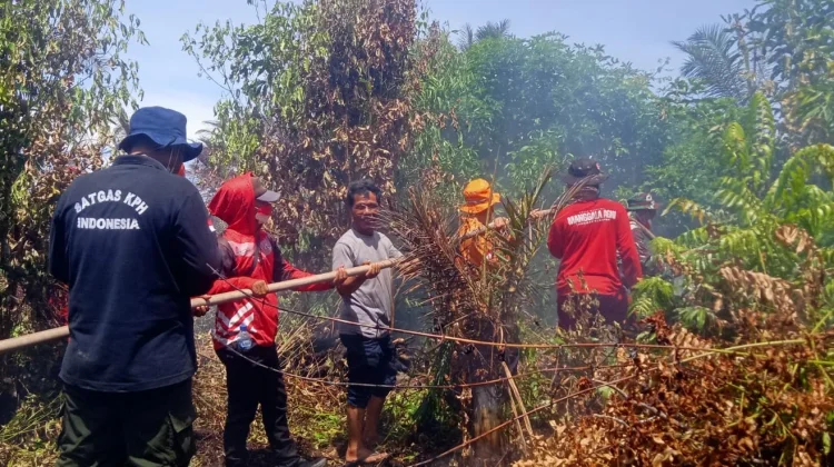 Karhutla di Nagan Raya Hanguskan 98 Hektare Lahan