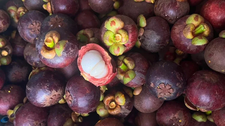 Buah Penyegar dan Pelindung Tubuh di tengah Cuaca Panas Ekstrem