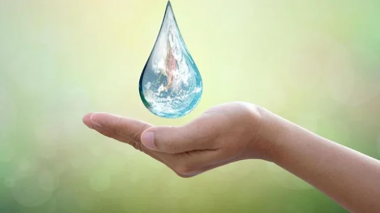 Mulai dari Rumah, Ini Tips Menghemat Air Setiap Hari