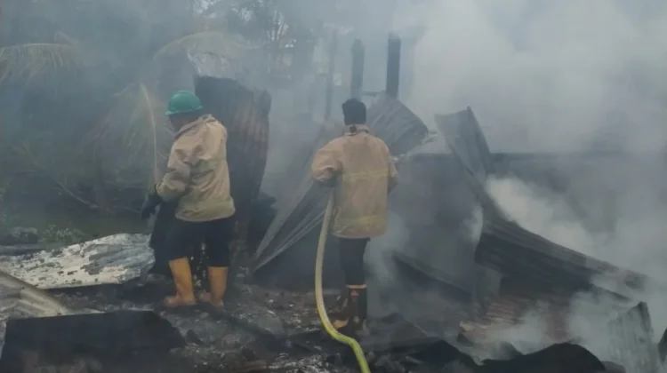 Tempat Pemeliharaan Ternak di Aceh Besar Terbakar
