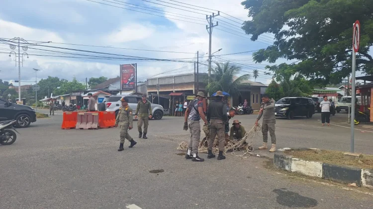 Puluhan Ternak Berkeliaran Diamankan, Pemilik Diminta Patuhi Qanun