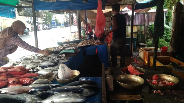 Kendati Cuaca Buruk Harga Ikan  Relatif  Stabil di Meulaboh
