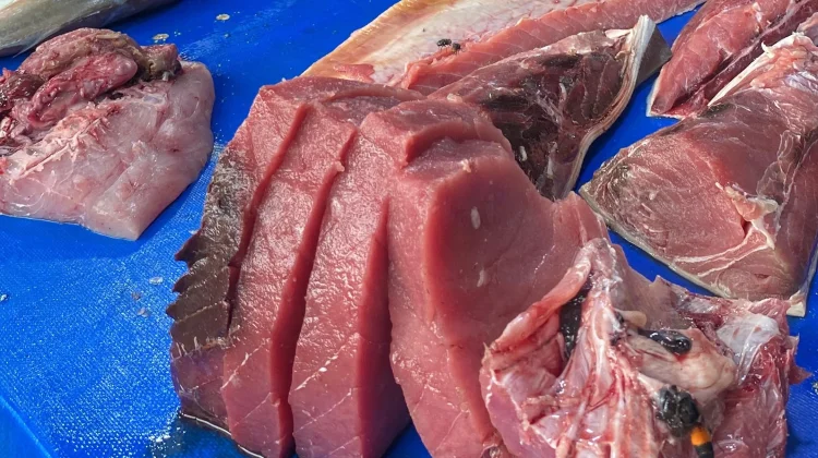 Ikan Tuna untuk Mendukung Pertumbuhan Anak Balita