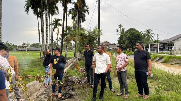 Jamaluddin Kawal Program Irigasi Tersier untuk Tingkatkan Hasil Panen
