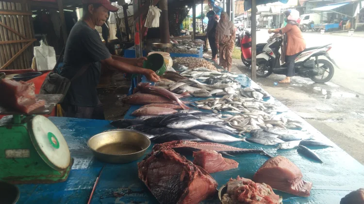 Harga Ikan Segar di Meulaboh Stabil pada Akhir Juni 2026