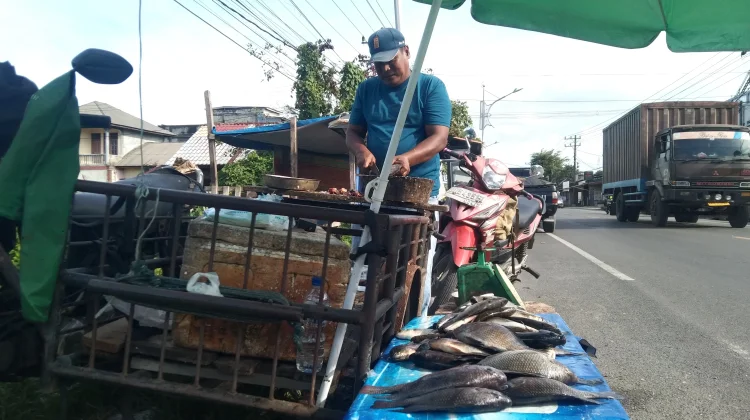 Ikan Air Tawar Liar Menjadi Icont Pasar Ikan Meulaboh