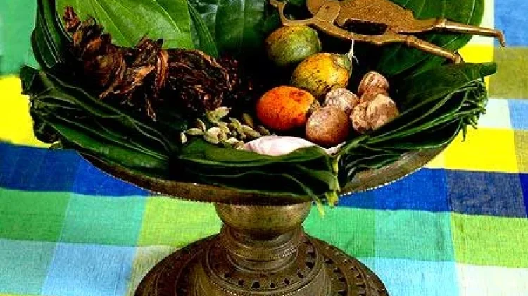 Manfaat Makan Sirih Bagi Orang Dewasa