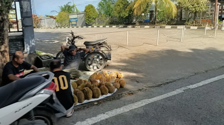 Musim Panen Telah Tiba, Harga Durian di Simeulue Turun