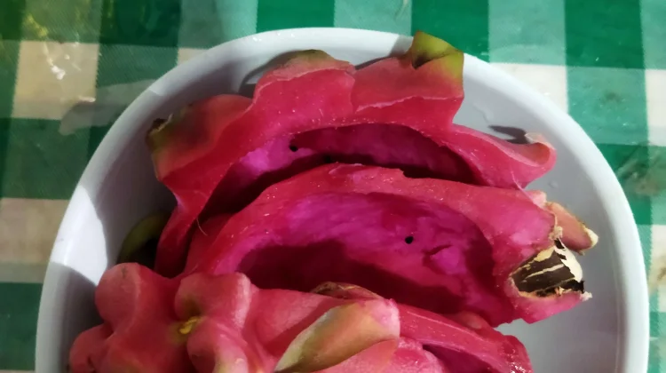 Manfaat Kulit Buah Naga yang Jarang Diketahui