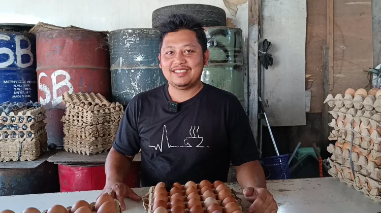 Harga Telur Ayam Ras di Meulaboh Turun Rp7 Ribu Per Papan