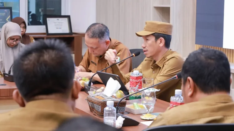 pemkab Aceh barat ikuti tahapan interview penyelengaraan  statistik
