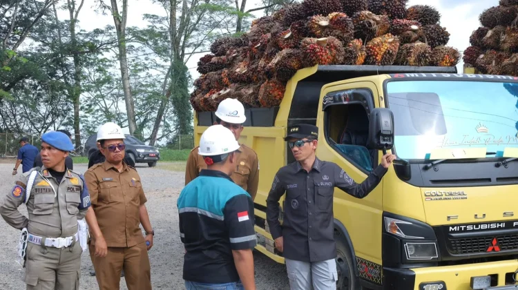 Bupati Aceh Barat Sidak Pabrik Sawit Pastikan Harga TBS Sesuai Ketetapan