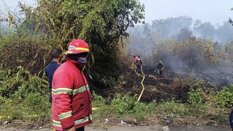 Kebakaran Lahan Seluas 0,5 Hektare Terjadi di Meureubo