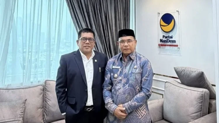 Wabup Simeulue Temui Anggota DPR RI, Perjuangkan Dukungan Pembangunan Daerah