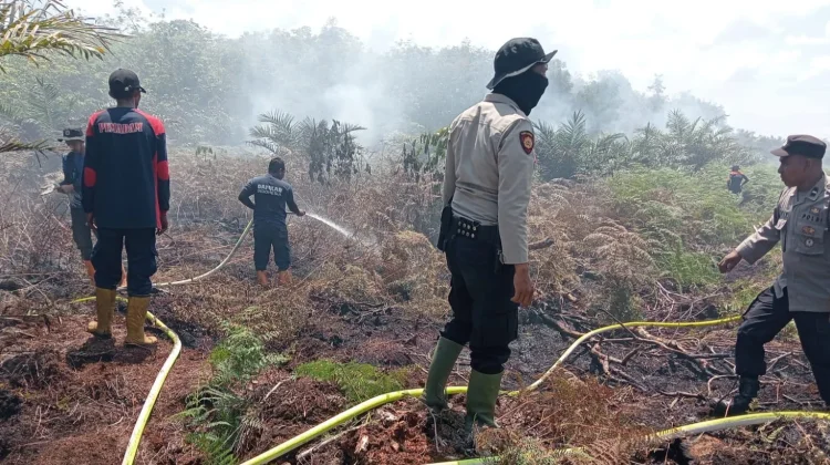 BPBD Aceh Barat Klaim Penanganan Karhutla Capai hingga 70 Persen