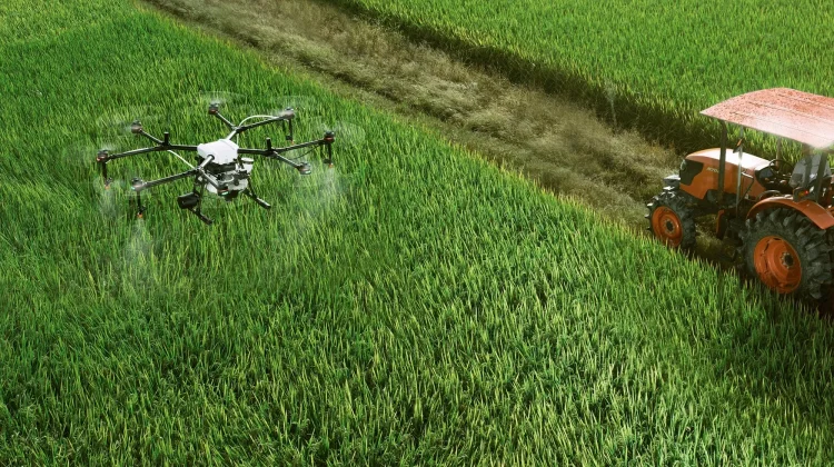 Drone dan AI Ubah Wajah Pertanian Menjadi Lebih Efisien