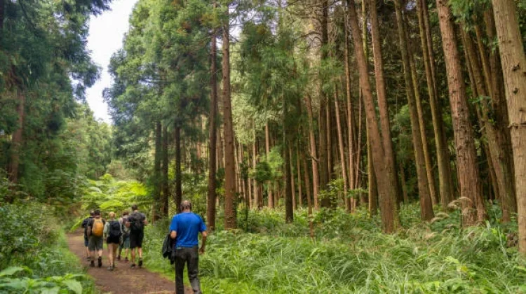 Banyak Orang Tak Berani Masuk Hutan, Apa Alasannya?