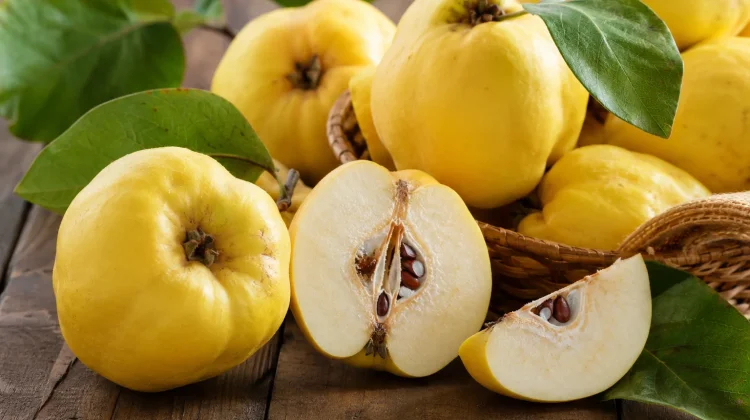 Buah Safarjal, Si Langka yang Menyimpan Segudang Manfaat untuk Kesehatan